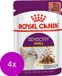 Royal Canin - Sensory Smell In Gravy Alimentation Chat Humide - 48 x 85 g