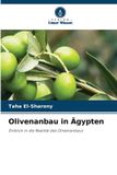 Olivenanbau Verlag Unser Wissen Olivenanbau in Ägypten