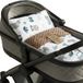 Totsy baby ASE Spolka Akcyjna Babydeken Knuffeldeken Set: Winterdeken 75x60 cm + Kussen 35x30 cm minky – dubbelzijdig fleece katoen warm zacht donzig kinderen newborn – wiegdeken kinderwagen omkeerbaar peuter Oeko-Tex Afrika