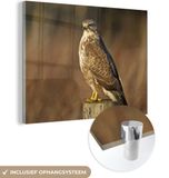 MuchoWow® Glass Painting 120x90 cm - Acrylic Glass Painting - Buzzard on a wooden pole - Photo on glass - Paintings