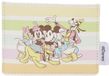 Disney Loungefly Porte-cartes Mickey et ses amis Rayures arc-en-ciel Portefeuilles