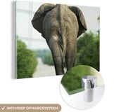 MuchoWow® Glass Painting 150x100 cm - Elephant - Acrylic Glass - Multicolor