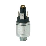 RIEGLER DS 4036 drukschakelaar
