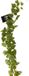Bellatio Design Kunstplant/Hangplant Slinger - Druivenblad - Groen - 180 cm