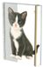 Bekking & Blitz Notitieboek A5, harde kaft: Franciens Kittens, Francien van Westering