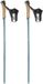 Rossignol Ft-600 Cork bâtons argent 150 cm homme