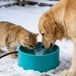 Holland Connections Grande cuve d'eau extérieure de 3,2 litres, chauffage thermostatique de 30 W pour animaux de compagnie, y compris cordon anti-morsure, convient aux chiens, chats, poulets, canards et écureuils en hiver.