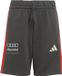 adidas Performance AUDI REVOLUT F1 TEAM DNA SHORT - Kinderen - Zwart