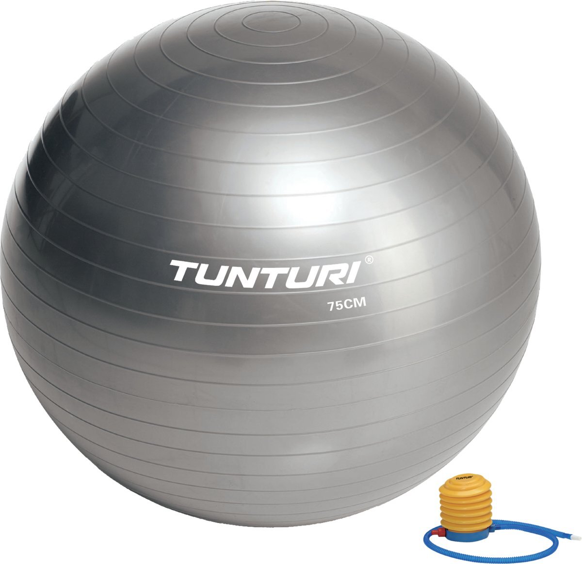 Tunturi Tunturi Gymball 75cm - Zilver