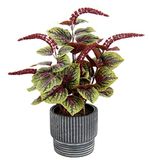 Kunstmatige dwerg peperplant met peperomie pot kamerplant kunstzijden plant potplant decoratieve plant grote groene plant herfstdecoratie