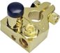 Sinuslive 13482 BKS - Accupoolklem Minpool Verguld