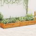 Maison Exclusive - Élévateur de jardin en bois d'acacia, dimensions 200x50x25 cm