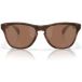 Oakley Frogskins Zonnebril