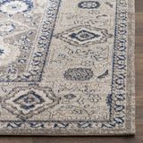 Safavieh PTN322F-3 - Klassiek Vloerkleed - 90x150 - Taupe/Ivoor