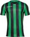 Macron Trevor Jersey Vert/Noir Polyester Manches Courtes 3XL