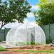 Serre de jardin tunnel de culture 3x3x2 m 9 m² avec porte battante, housse PE 150 g/m², idéale pour potager, plantes et floraisons