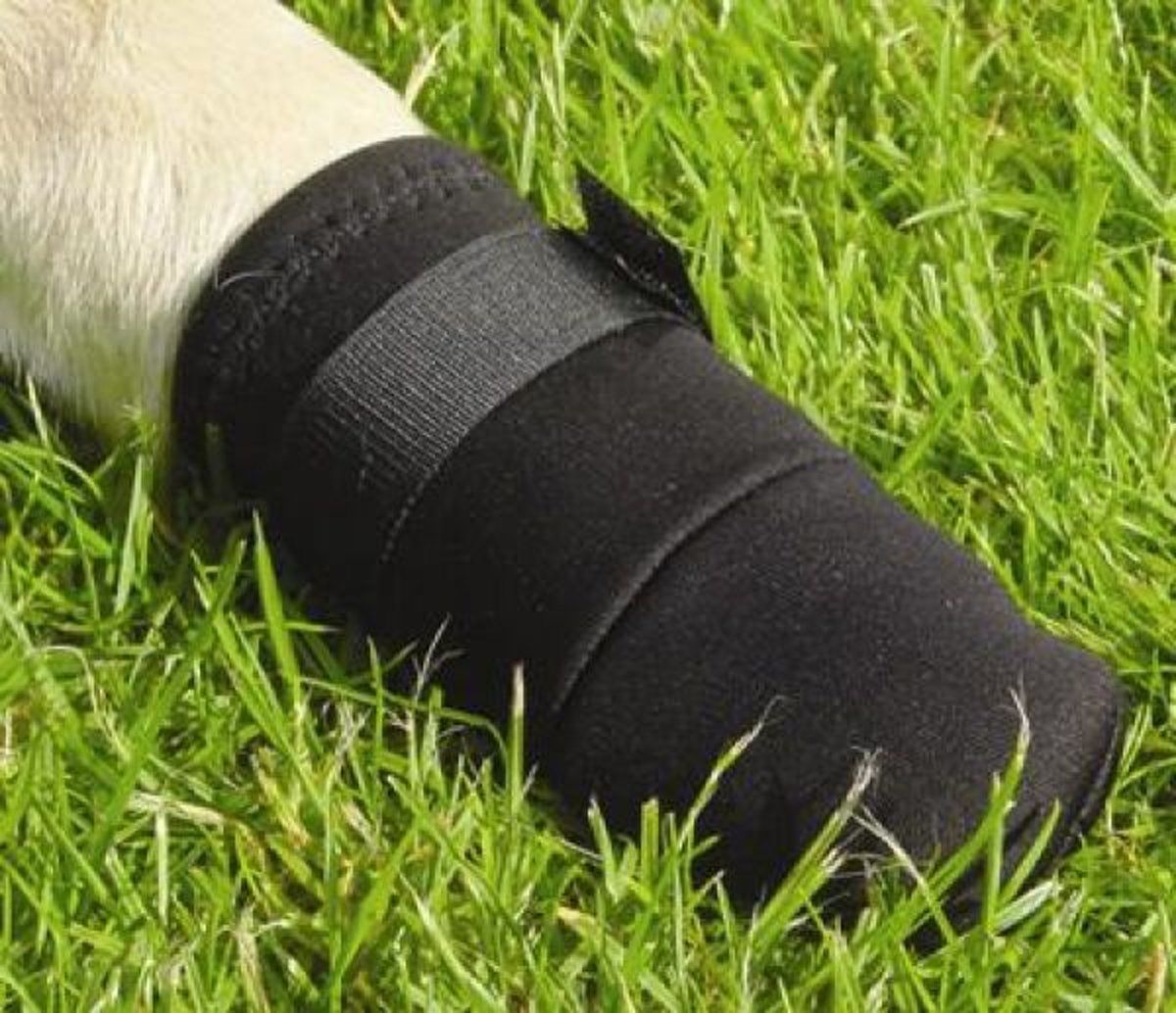 Beeztees Beschermingsschoen - Hond - Zwart - S - 2ST