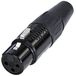 Rean AV RC3F-B XLR-connector Bus, droit Nombre de pôles: 3 1 pièce(s)