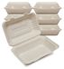 OEM Bagasse schaaltjes, 250 stuks, 23x16 cm, ongebleekt