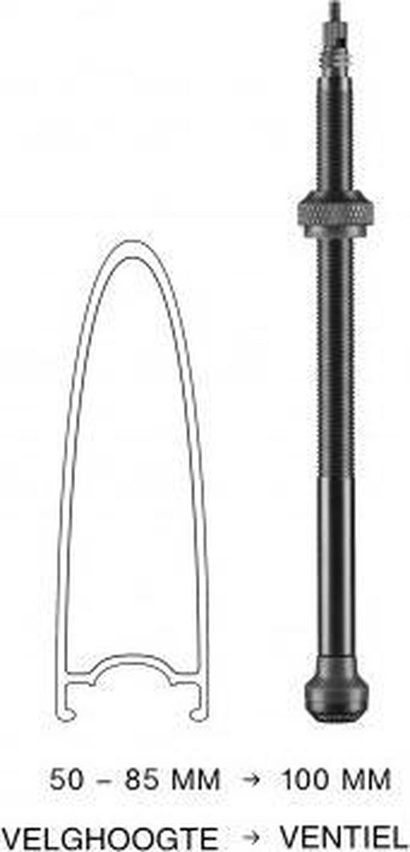Schwalbe Tubeless Ventiel 2 Stuks SV 100mm