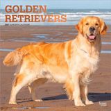 Golden BrownTrout Golden Retrievers - Golden Retriever 2027 - 16-Monatskalender