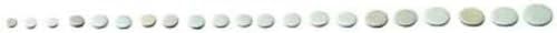 GEWA Polsters Complete Sets for BB Clarinet, German Style, 21 White Leather Pads