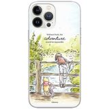 ERT GROUP mobiel telefoonhoesje voor Oppo A92/ A72/ A52 origineel en officieel erkend Disney patroon Winnie the Pooh and friends 017, hoesje is gemaakt van TPU