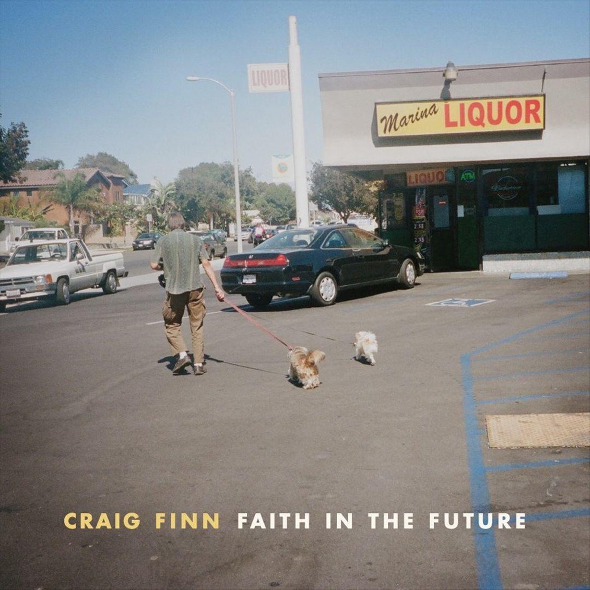 PIAS Nederland Craig Finn - Faith In The Future