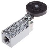 RS PRO Eindschakelaar, hendel met verstelbare rol, DPST, sluiter/opener, IP 66, zinklegering, 10A aansluitkabel