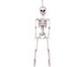 Boland - Decoratie Beweegbaar skelet (M) - Piraten;Horror