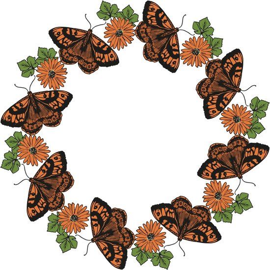 Merkloos Sizzix Clear Stamps Nature Butterflies (666642)