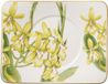 Villeroy & Boch Teeuntertasse Amazonia 17 x 14 cm