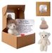 Ours de soin Ours de soin peluche dans une boîte - Mini ours en peluche - Peluche souple - Cadeau pour enfants et adultes - Mini ours en peluche avec carte