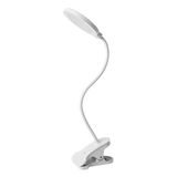Levitantes Verlichting, Afbeelding