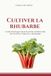 Cultiver la rhubarbe: Guide pratique pour planter, entretenir, récolter et forcer la rhubarbe