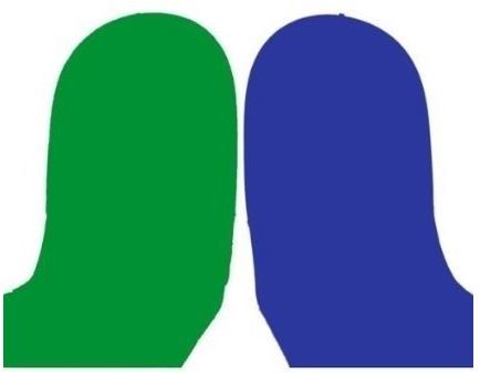 Bresser BR-TR16 Achtergrond Doek - Groen/Blauw - 180x240x240cm