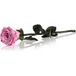 RoseAmor Pink Geconserveerde bloemen 1 st