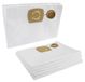 Nilfisk Alto 10 sacs aspirateur pour Attix 50 21 PC Professional