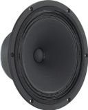 Visaton B 200 8 High-End Full-Range Loudspeaker 6 Ohm