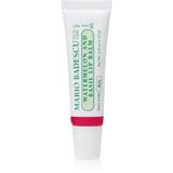 Mario Badescu Watermelon and Basil Baume à lèvres