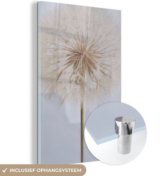 MuchoWow® Glasschilderij 80x120 cm - Paardenbloem - Acrylglas Schilderij - Design - Foto op glas
