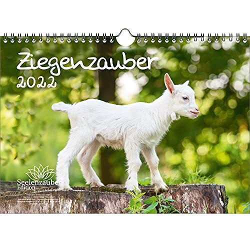 Seelenzauber Geitenmagie DIN A4 kalender voor 2022 geiten en zicklein - zielenzauber