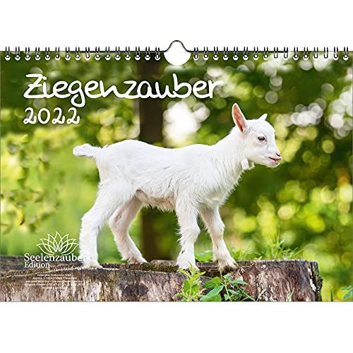 Seelenzauber Geitenmagie Kalender 2022 - DIN A4
