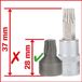 KS Tools 1/4 bit-dopsleutelset - extra kort - 50-delig - 911.1850