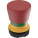RAFI RAFIX 22 FS Bouton-poussoir lumineux Lumineux 1 pièce(s)