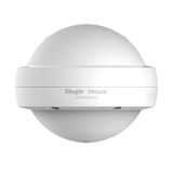 Ruijie Networks RG-RAP6202(G) point d'accès sans fil