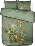 Essenza Ficaria Dekbedovertrek Coton Biologique Satiné Greenish - Lits-Jumeaux XL – 260x200/220 cm
