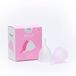 Irisana S440028 coupe menstruelle, 2 pièces, multicolore, L (pack de 2)