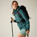 Regatta Daysha II waterdichte shelljas voor dames, groen, maat 48