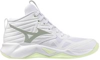 Mizuno Indoorschoenen voor dames Wave Momentum Pro Mid